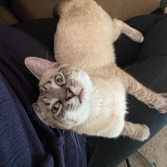 MEET MY PETS (: - Picture 12 of 16